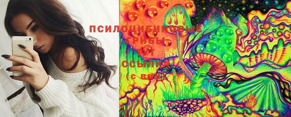 apvp Медвежьегорск