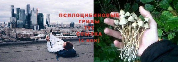 apvp Медвежьегорск